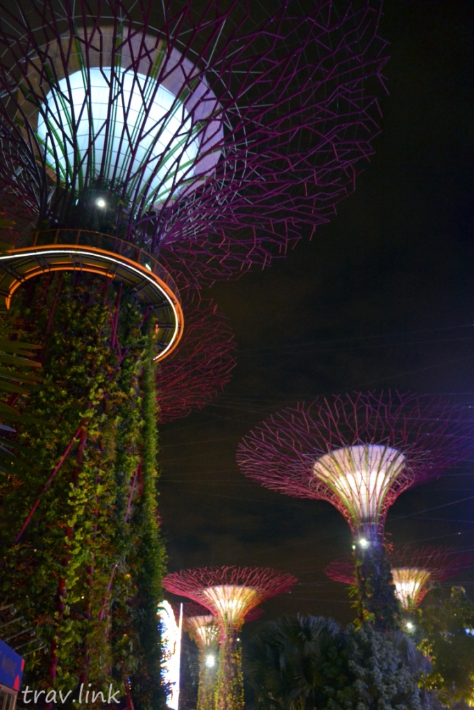 Сингапурские супердеревья фото